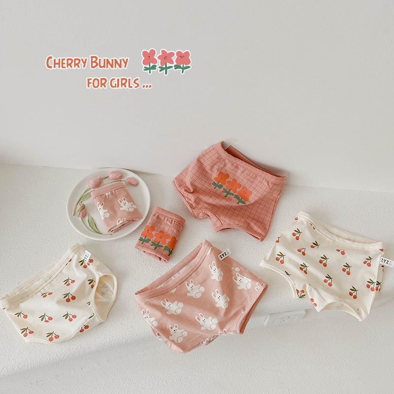 Girls Flower Fruit Cartoon Print Underwears Wholesale
