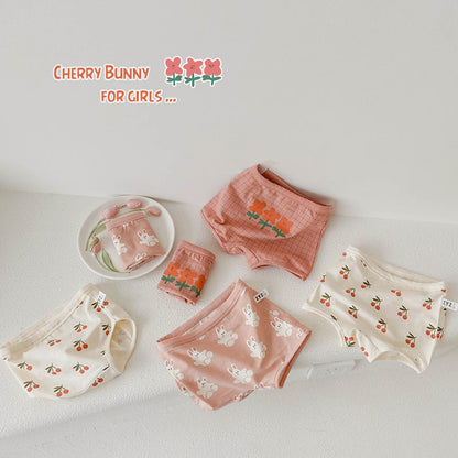Girls Flower Fruit Cartoon Print Underwears Wholesale