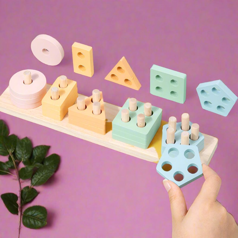 Montessori Geometric Shape Wooden Toy Set for Children