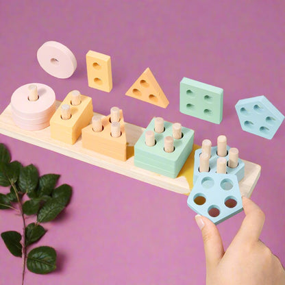 Montessori Geometric Shape Wooden Toy Set for Children