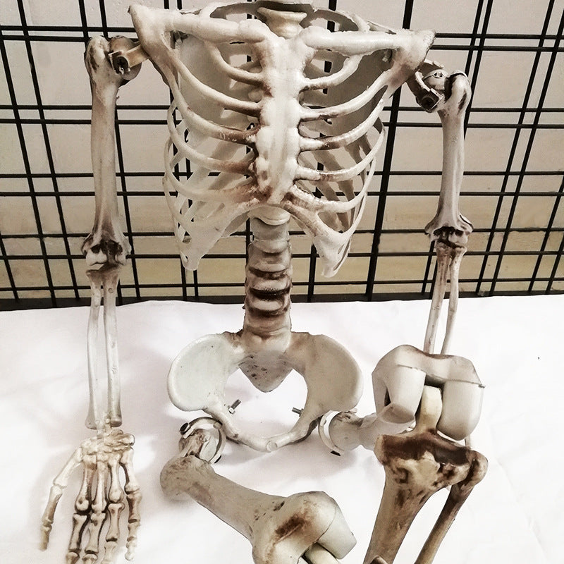 Halloween Skull Skeleton Decoration Plastic Props