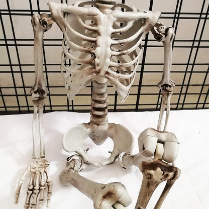 Halloween Skull Skeleton Decoration Plastic Props