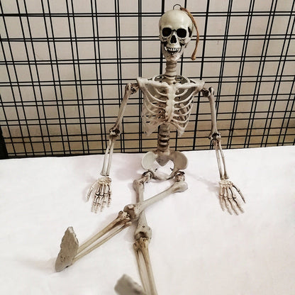 Halloween Skull Skeleton Decoration Plastic Props