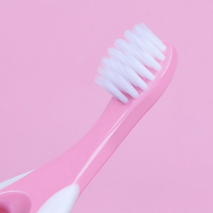 Toddler Oral Care Teether Brush 6 Pack