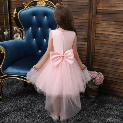 Ombre Floral and Pearl Applique Design Princess Party Dress