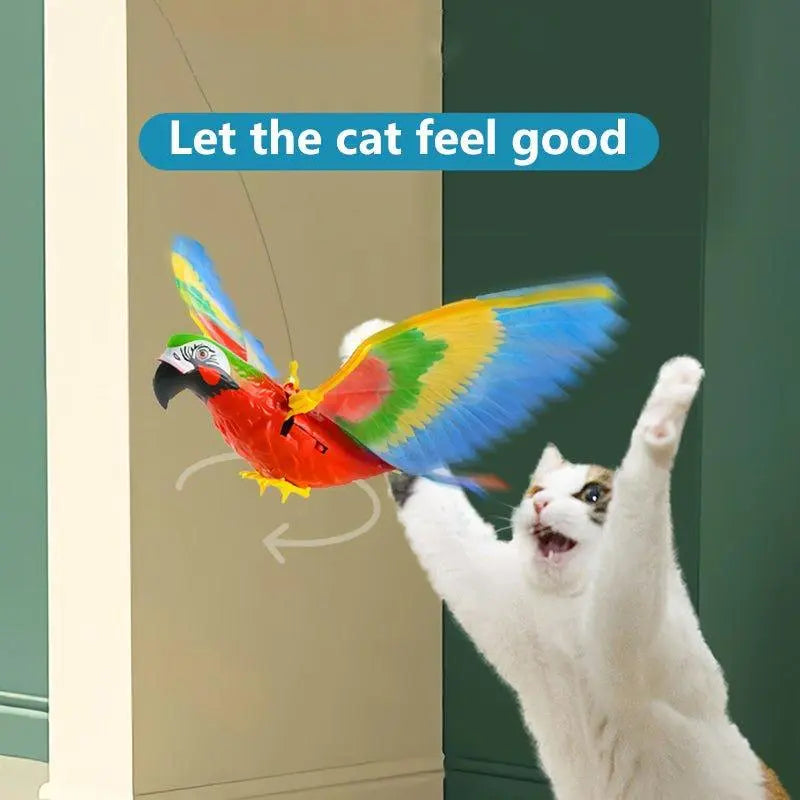 Cat Bird Toy