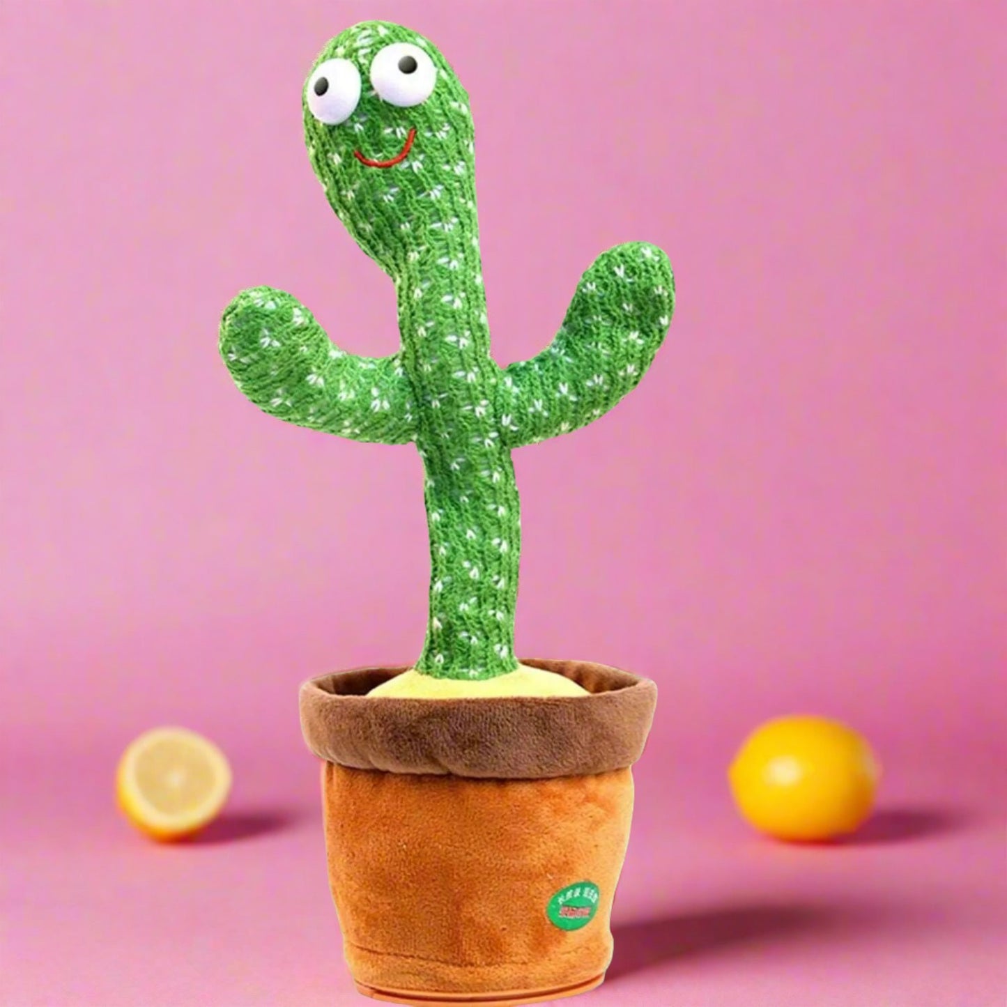Dancing Cactus Toy