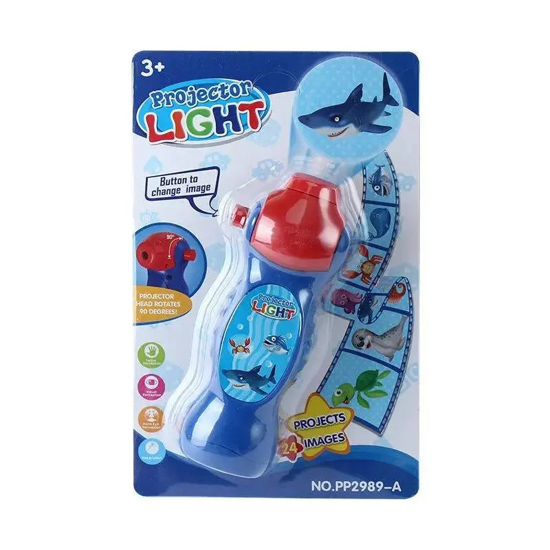 Figure Projection Toy