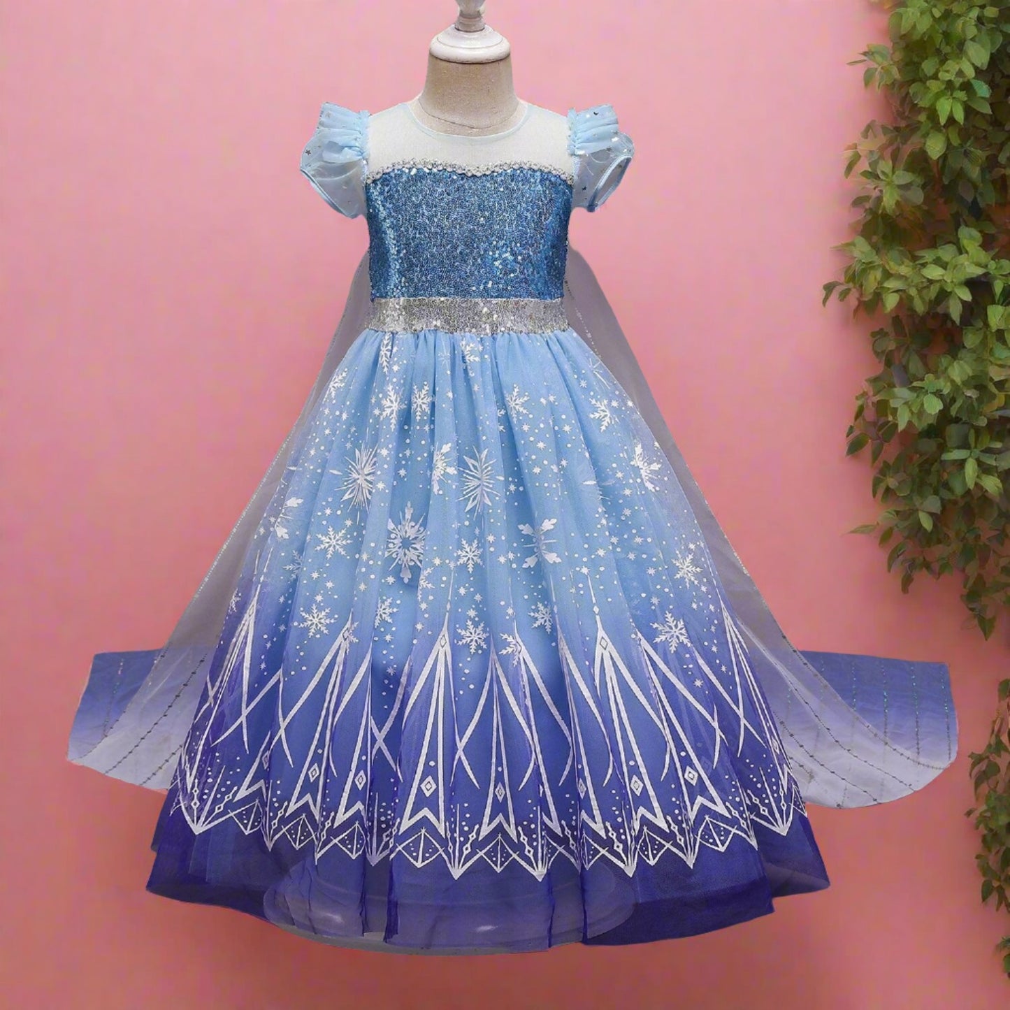 Long Back Unicorn Dress
