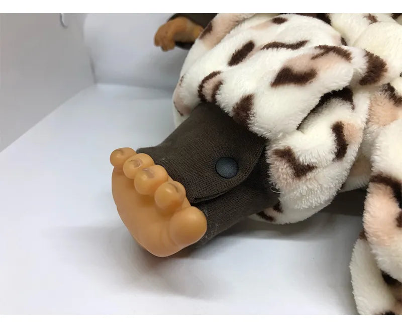 Spring Newborn Baby Clothes (3-9 Months)