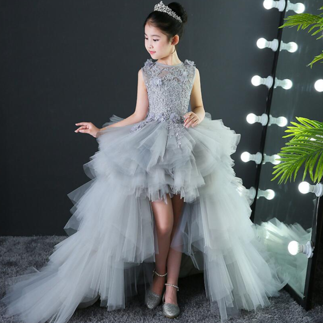 Long Trailing Lace Appliques Princess Prom Tulle Gowns