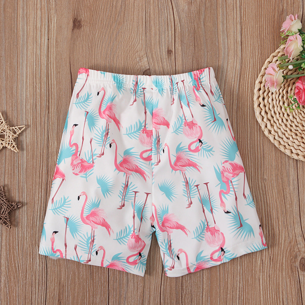 Boys' Summer Crane Printed Boxer Briefs and Quarter Pants