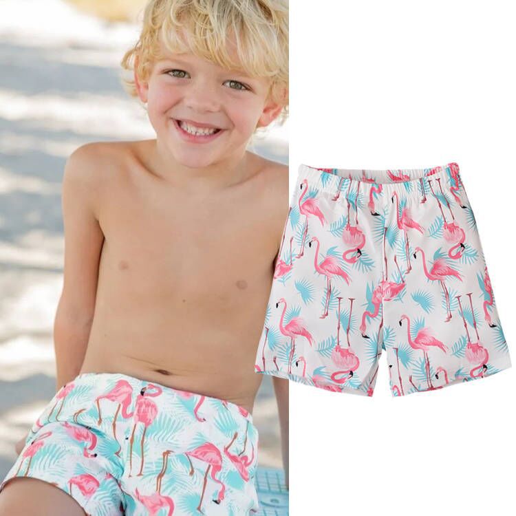 Boys' Summer Crane Printed Boxer Briefs and Quarter Pants