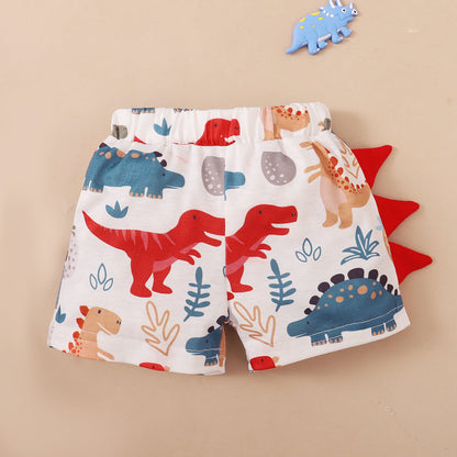 Boys Cotton Clothes Two-piece Set