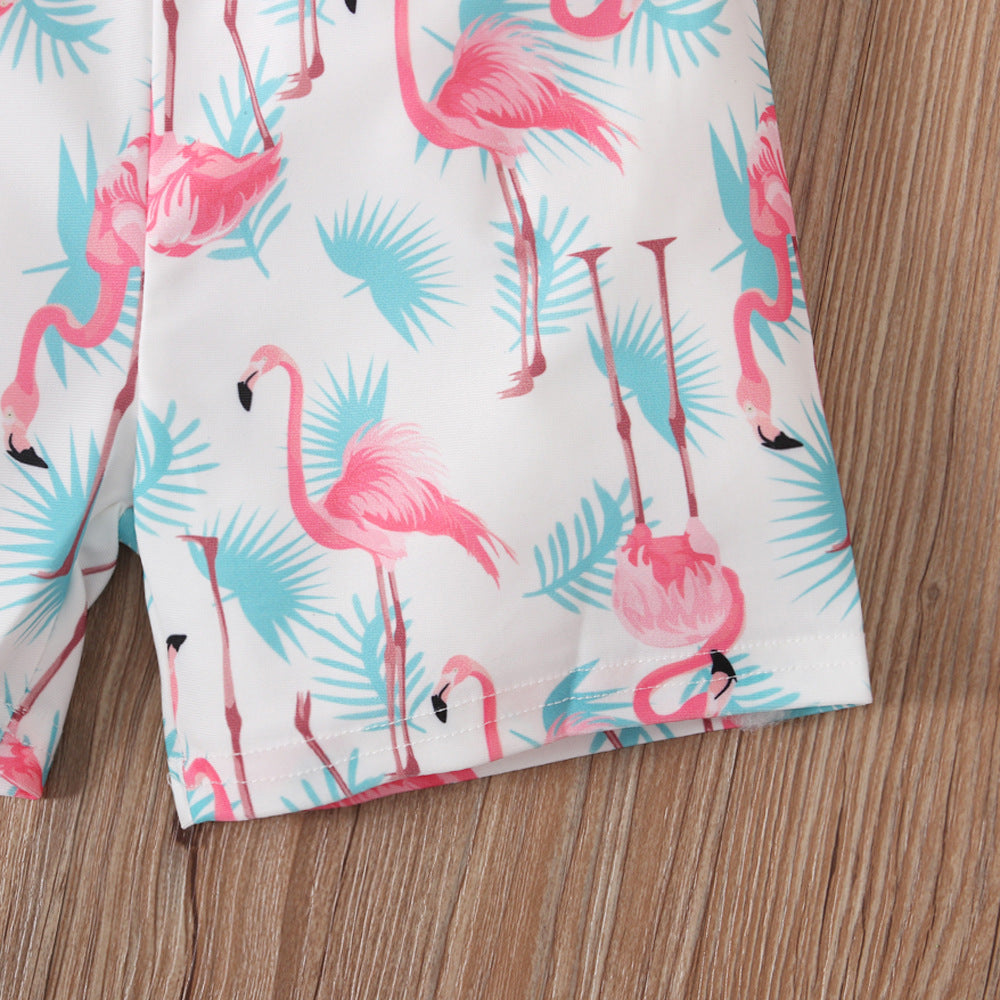 Boys' Summer Crane Printed Boxer Briefs and Quarter Pants