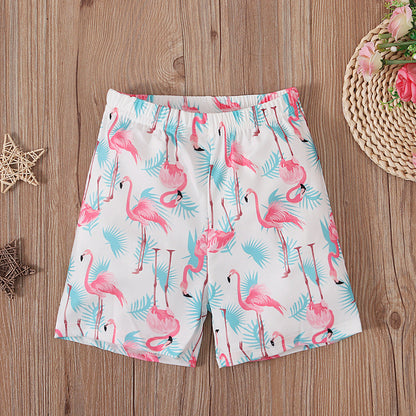 Boys' Summer Crane Printed Boxer Briefs and Quarter Pants