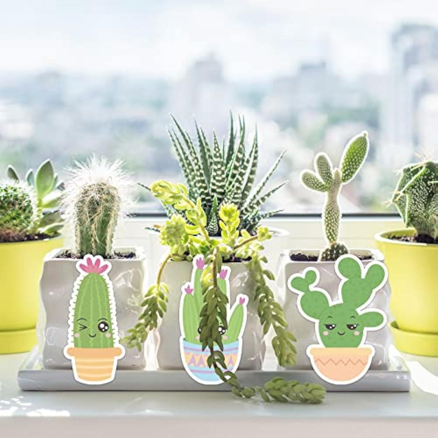 Green Cactus Sticky Notes