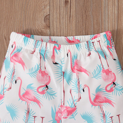 Boys' Summer Crane Printed Boxer Briefs and Quarter Pants