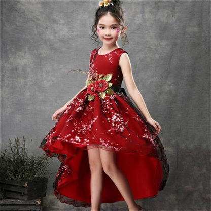 Rose Patch Floral Printed Girls Fashion Party Dress