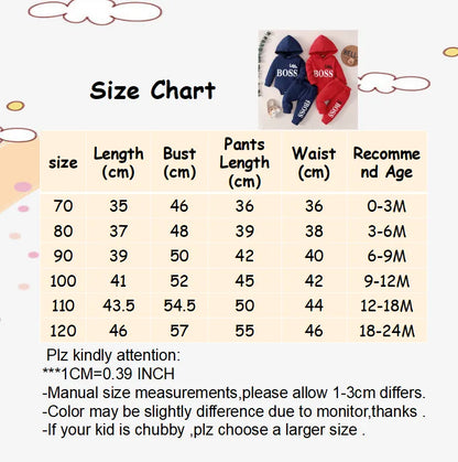 Newborn Boy 2PCS Set: Hoodie Jumpsuit + Pants
