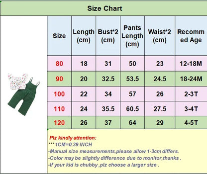 Clothes For Baby Girls (1-5 Years)