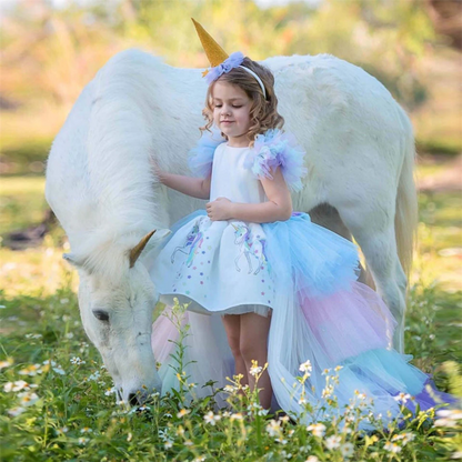 Long Back Unicorn Dress