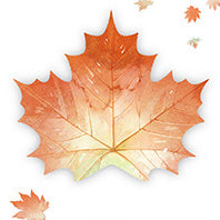 Paper Simulation Leaf Convenience Stickers