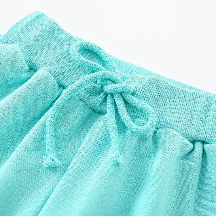 Boys' short sleeved shorts two piece set