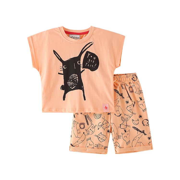 Boys' short sleeved shorts two piece set