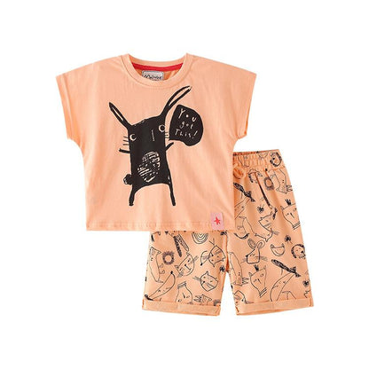Boys' short sleeved shorts two piece set