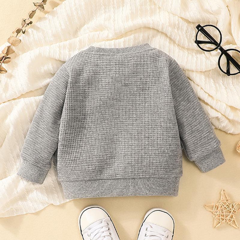 Baby Long Sleeve Pullover Sweater