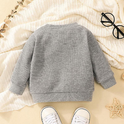 Baby Long Sleeve Pullover Sweater