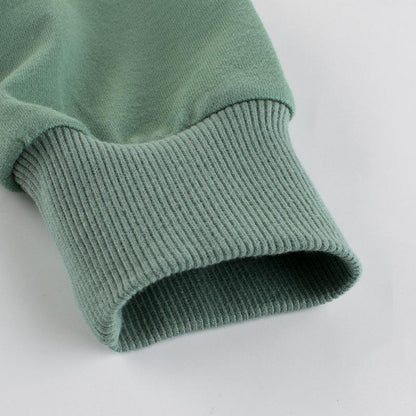 Children's Wear Dinosaur Green Grey Long Sleeve Tee