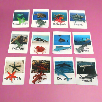 Montessori Animal Matching Card Cognitive Kids Educational Toy