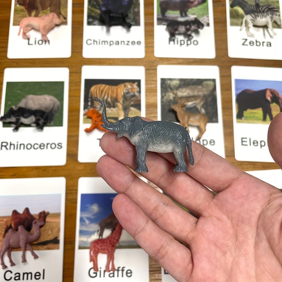 Montessori Animal Matching Card Cognitive Kids Educational Toy