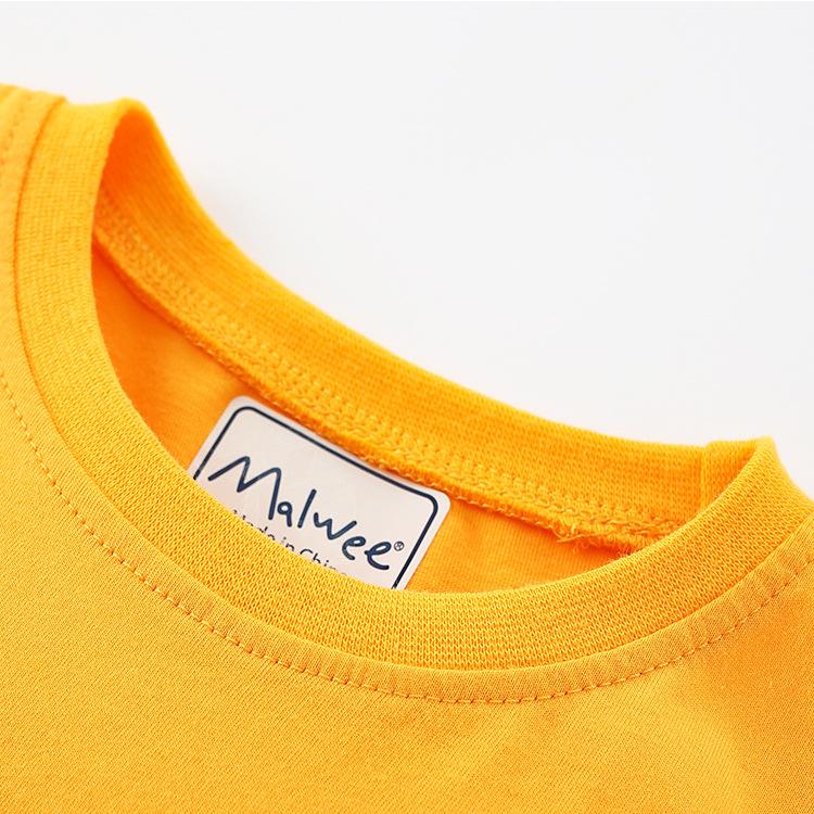 Boys' short sleeved T-shirt and shorts two piece set