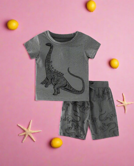 Boys' Casual Short Sleeve T-shirt and shorts two piece set