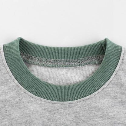 Children's Wear Dinosaur Green Grey Long Sleeve Tee