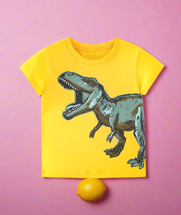 Boys' short sleeve T-shirt