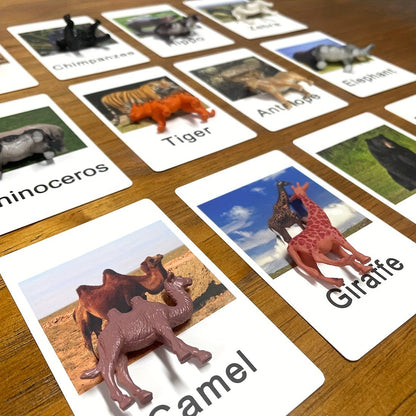Montessori Animal Matching Card Cognitive Kids Educational Toy