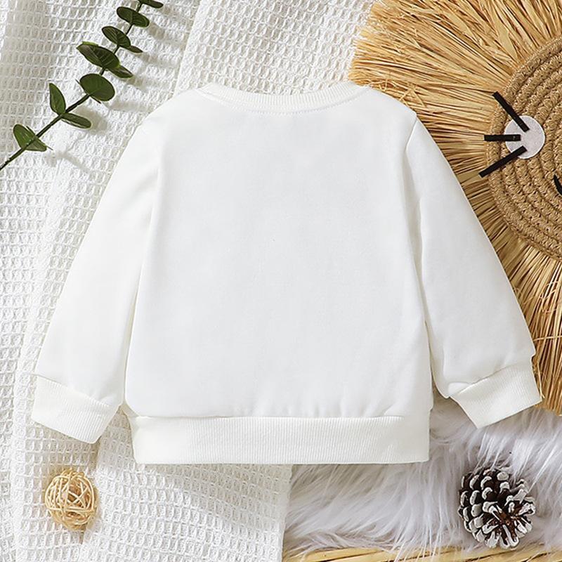 Round Neck Long Sleeve Pullover Sweater